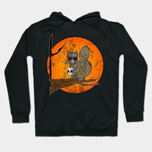 Sci-Fi Squirrel (distressed no text) Hoodie